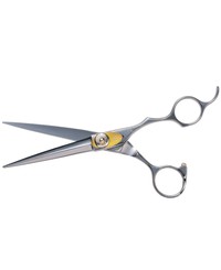 EE Fuji President 5" EE Fuji President 5"