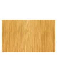 color.me GLOSS 10.4 / 10C Platinum.Copper color.me GLOSS 10.4 / 10C Platinum.Copper