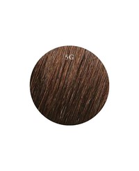 Showpony 30-35cm (14") Slim Tape Extensions - 5G Brown Showpony 30-35cm (14") Slim Tape Extensions - 5G Brown