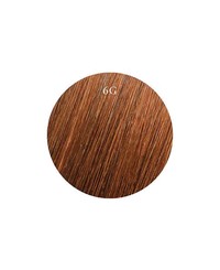 Showpony 45-50cm (20") Skin Weft Extensions - 6G Chestnut Showpony 45-50cm (20") Skin Weft Extensions - 6G Chestnut