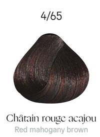4-65_Châtain Rouge Acajou / Red Mahogany Brown botanqiue 4-65_Châtain Rouge Acajou / Red Mahogany Brown botanqiue