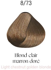 Kydra Jelly 8-73 Light Chestnut Golden Blonde Kydra Jelly 8-73 Light Chestnut Golden Blonde