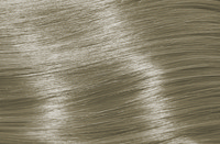 Code 9.1 /9A - Very.Light.Blonde.Ash Code 9.1 /9A - Very.Light.Blonde.Ash