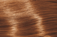 Code 8.73 /8chG - Light.Blonde.Chocolate.Gold Code 8.73 /8chG - Light.Blonde.Chocolate.Gold