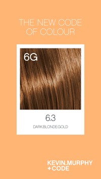 Code 6.3 /6G - Dark.Blonde.Gold Code 6.3 /6G - Dark.Blonde.Gold