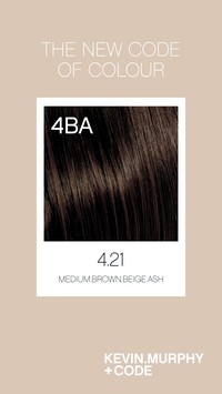 Code 4.21 /4BA - Medium.Brown.Beige.Ash Code 4.21 /4BA - Medium.Brown.Beige.Ash