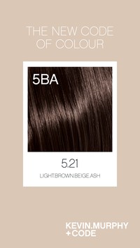 Code 5.21 /5BA - Light.Brown.Beige.Ash Code 5.21 /5BA - Light.Brown.Beige.Ash